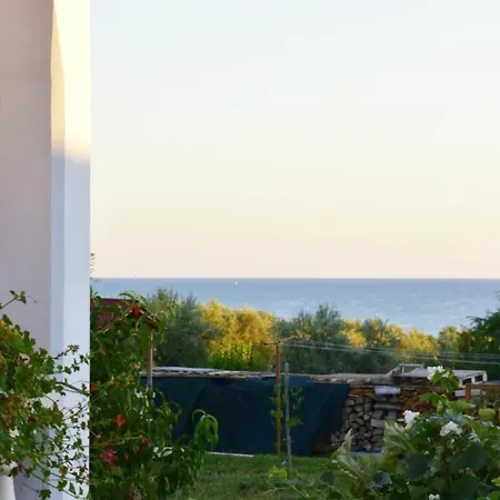 Luciana 2 By Interhome Zambratija (Istria)
